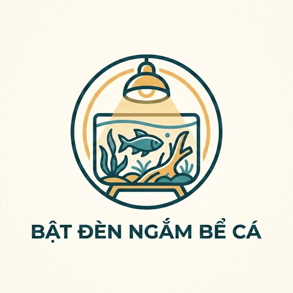 Bật đèn ngắm bể cá